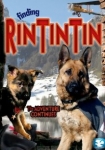 Rin Tin Tin